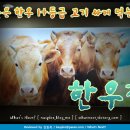 서울선치과의원 이미지