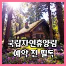 🏕️ 국립자연휴양림 예약 전 필독! 인기 휴양림 추천 &amp; 후기 정리