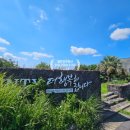 오션뷰하우스 이미지