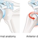 미녀와 야수GYM 이미지