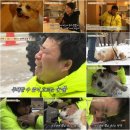 똘똘이농장 이미지