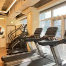 파인드짐 이미지