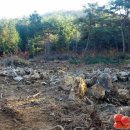 꾸지뽕농장민박 이미지