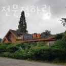 삼계탕전문점하림 | 장안동맛집 삼계탕전문점하림 찐정보
