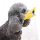 말랑말랑 이미지