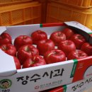 솔봉농원 이미지