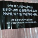 G5905 | 이그닉 리트 심플PC 1A RT-SPP00001 G5905 리뷰