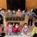 서산초병설유치원 이미지