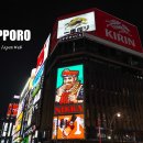 (주) 디지털 엔 스미스 | 비지트재팬 웹 등록 삿포로 신치토세 공항 일본 입국 후기