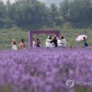 묵호관광안내소 이미지