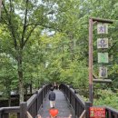 산림생태문화체험단지 | 강원 정선 백두대간 생태수목원 산림생태문화체험단지 휴양림 숲속의집 만병초 가족여행 숙소