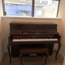 소나타피아노학원 이미지