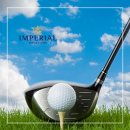 임페리얼스크린골프 이미지
