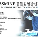 한국동물선진의료연구소(KASMINE) 동물심혈관신장센터 이미지