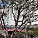 노원면허시험장 이미지