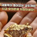 금두꺼비 이미지