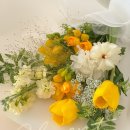 수원 호매실 꽃집 싱싱하고 감각적인 꽃다발 선물 - 플레젠트🌼