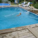 그랑샤리오 이미지