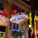 HOTEL 4월 2일 | 라스베가스 가성비 숙소 플라밍고 호텔 가격 위치 추천 내돈내산 카지노 후기 ♥