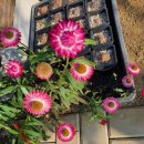 가온하우스 이미지