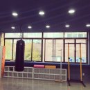 더 복싱(THE BOXING) 이미지