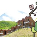 고란길(길안면) 이미지