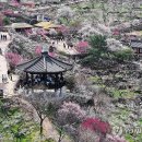 광양매화문화관 이미지