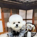 댕그랑댕 이미지