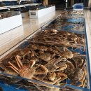 더이스트 이미지