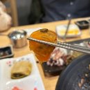 노랑산하오징어