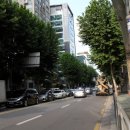 강남-109 이미지