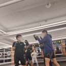 마린킹콩 복싱아카데미 이미지