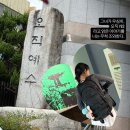 김화중학교 | &lt;대전 1박2일 코스&gt; 쪼대로 다녀온 대전 여행기: 교동이와 꿈돌이와 나🫧⭐️(1)