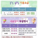 골프엠 Daum카페