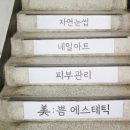 로하네일 이미지