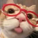 레츠고