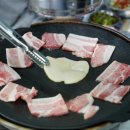 존냉삼