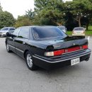 성진리무진 이미지