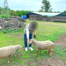 자매목장 이미지