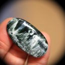 샤로브냐 이미지