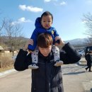 초계꽃식물원 이미지