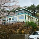 홍차네 | 양산 통도사 근처 다도 카페 한송 예술촌 백비티라운지 홍차 백차 후기