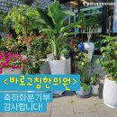 바로고침 이미지