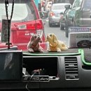 주시회사 공사중푸드마켓 | [경청스타즈 필리핀 후기2] 필리핀 회사 매칭, 그리고 첫 출근 with 지옥같던 마닐라 러쉬아워...