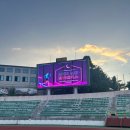 단양공설운동장 | 2025 단양달빛레이스 10km 후기, 마라톤 코스부터 구경시장까지 여름 런트립