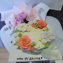 설향앙금