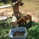 하늘샘농장 이미지