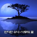 나무의꿈 이미지