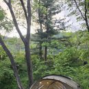 (주)우리플랜 | 포천 딥포레스트 캠핑장 후기 그늘좋은 숲속캠핑장 추천
