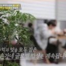 효심라이프